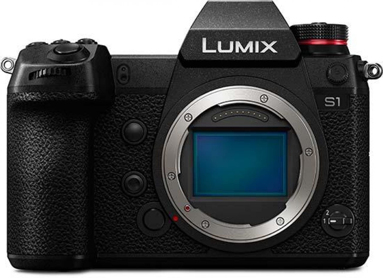 lumix s1 grip