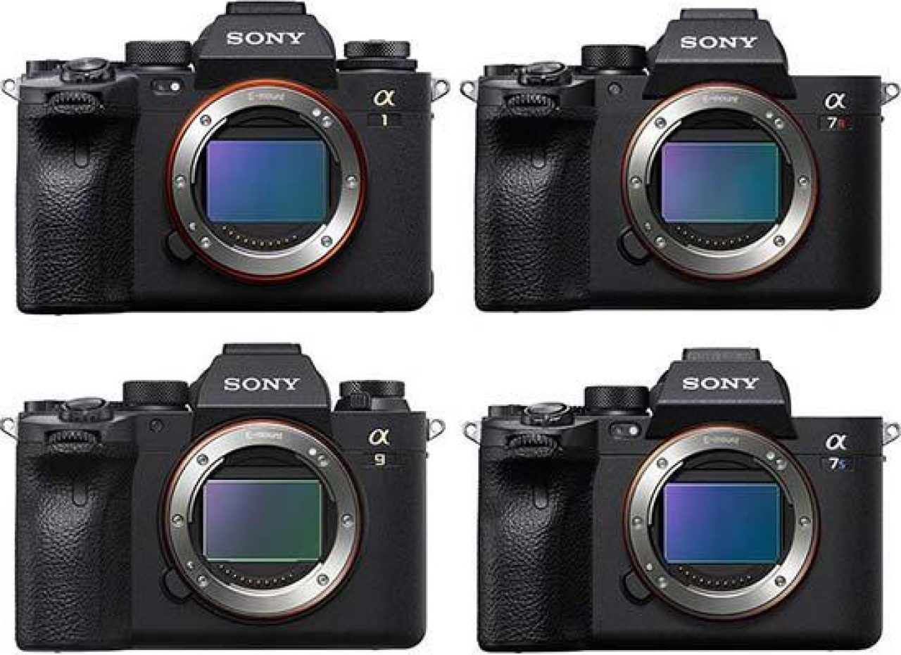 Sony A1 vs A7R IV vs A9 II vs A7S III - Head-to-head Comparison Blog