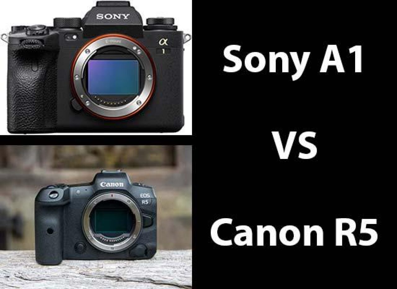 Sony canon сравнение