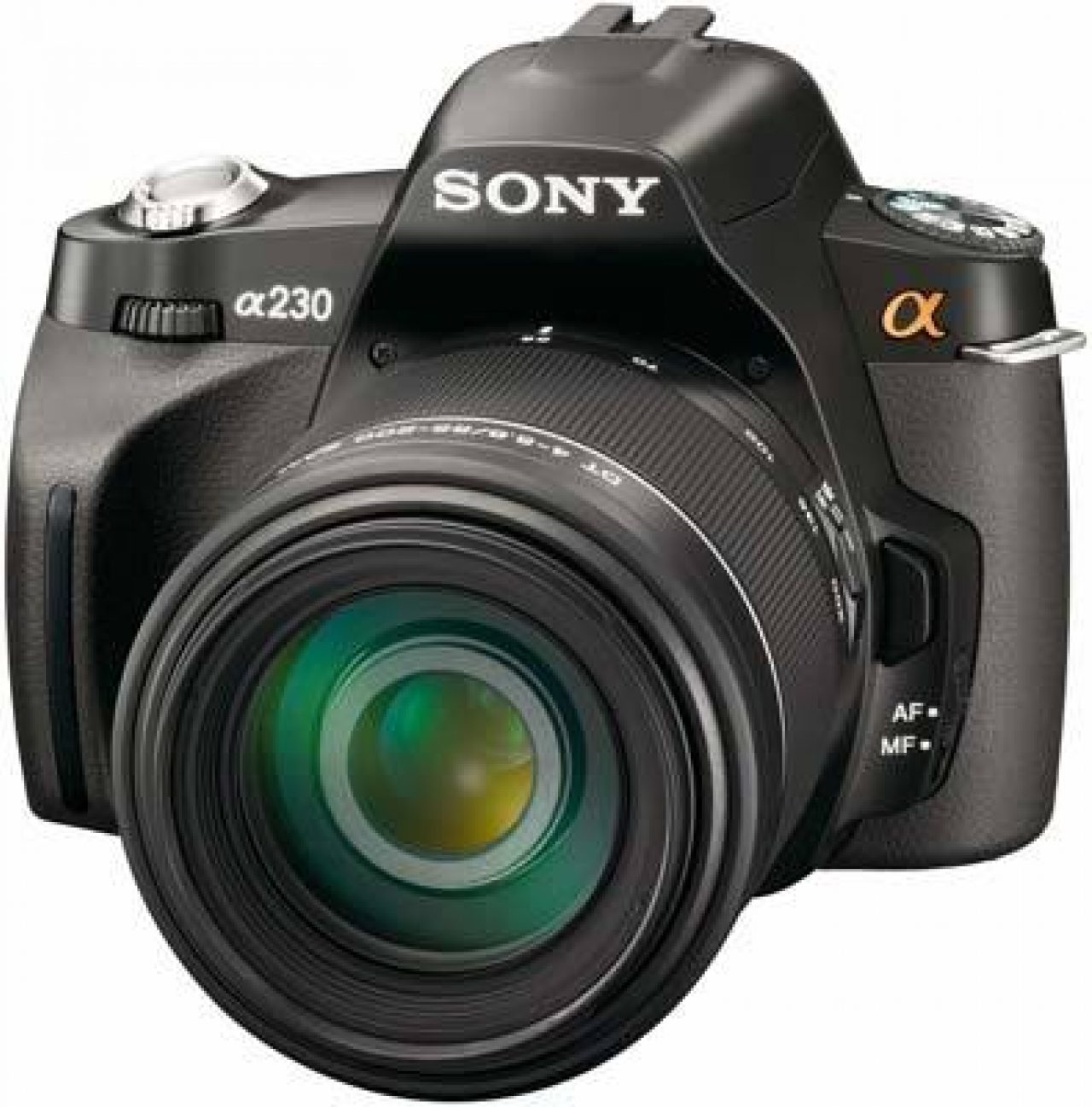 sony bird photography