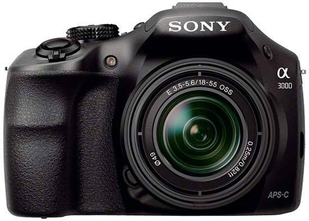 sony small dslr camera