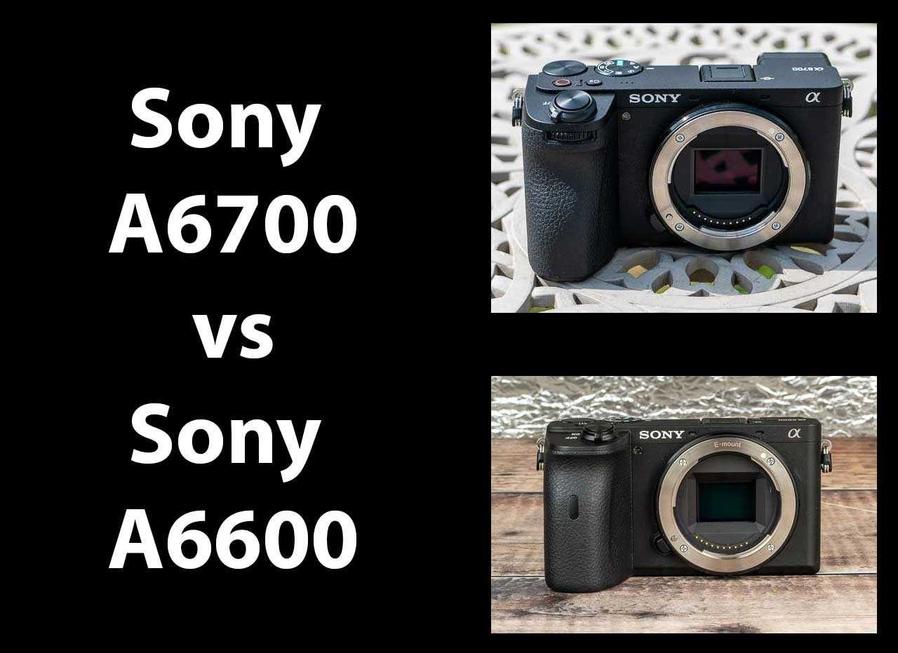 Sony A6700 vs Sony A6600 - Which is Better?