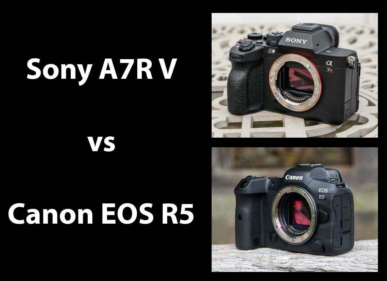 Is a Sony A7 2 still worth it for $500? : r/Cameras