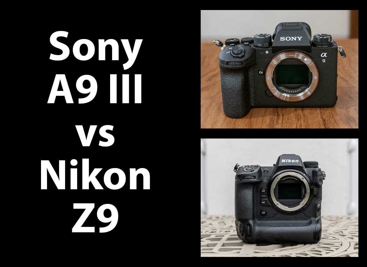 Sony A9 III vs Nikon Z9 - Which is Better? | Photography Blog