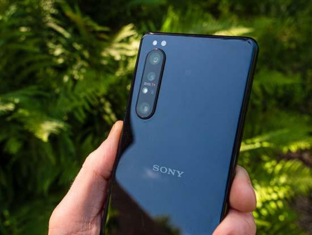 Sony Xperia 1 II Review | Photography Blog