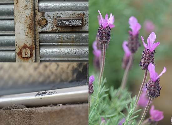 Fujifilm Xf 55 200mm F3 5 4 8 R Lm Ois Photos Photography Blog