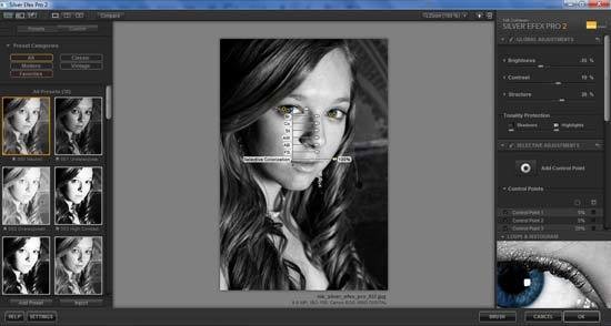 silver efex pro 2 free download full version mac