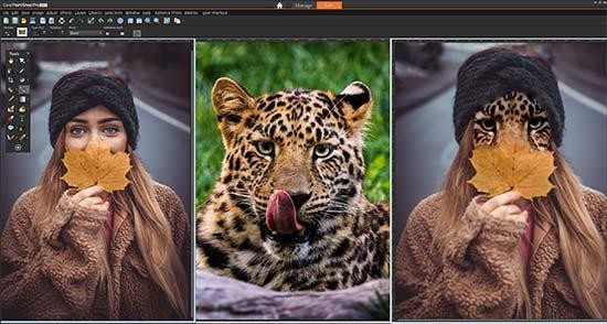 paintshop pro 2020 review paintshop pro 2020 review