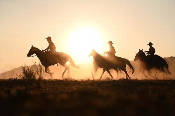 Nikon Z7 II Sample Images