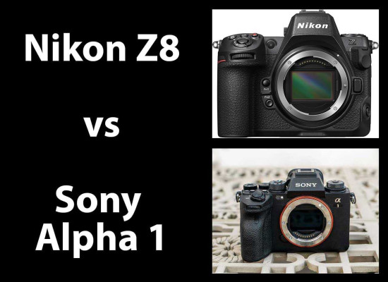 Nikon Z8 vs Sony Alpha 1 - Head-to-head Comparison