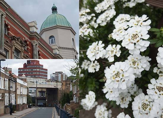 Olympus XZ-10 Photos | Photography Blog