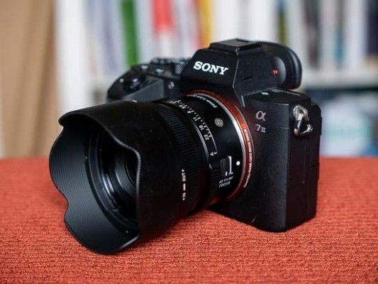 Sigma 24mm F3.5 DG DN Review