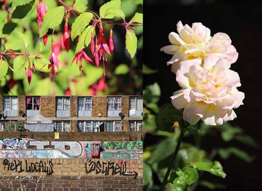 canon 650d photography settings