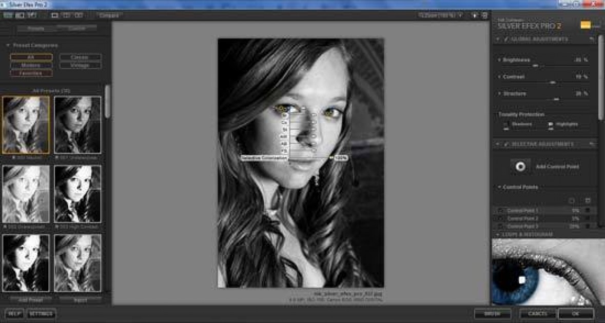 Nik software silver efex pro 2 free download