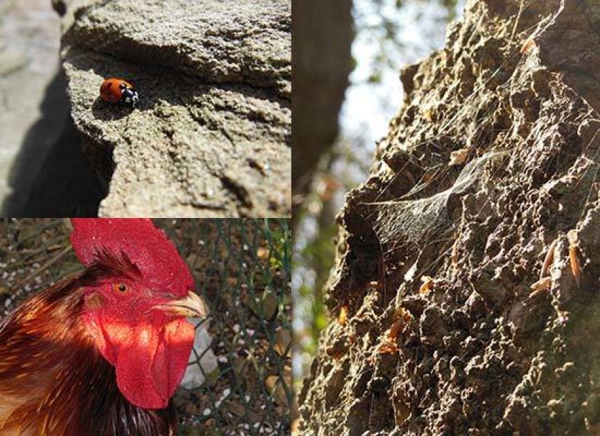 Nikon Coolpix S9300 Photos | Photography Blog