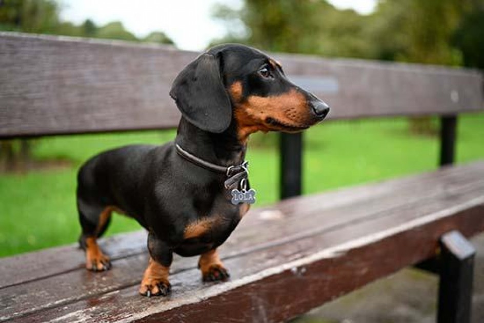 Nikon Z7 Sample Images Photography Blog