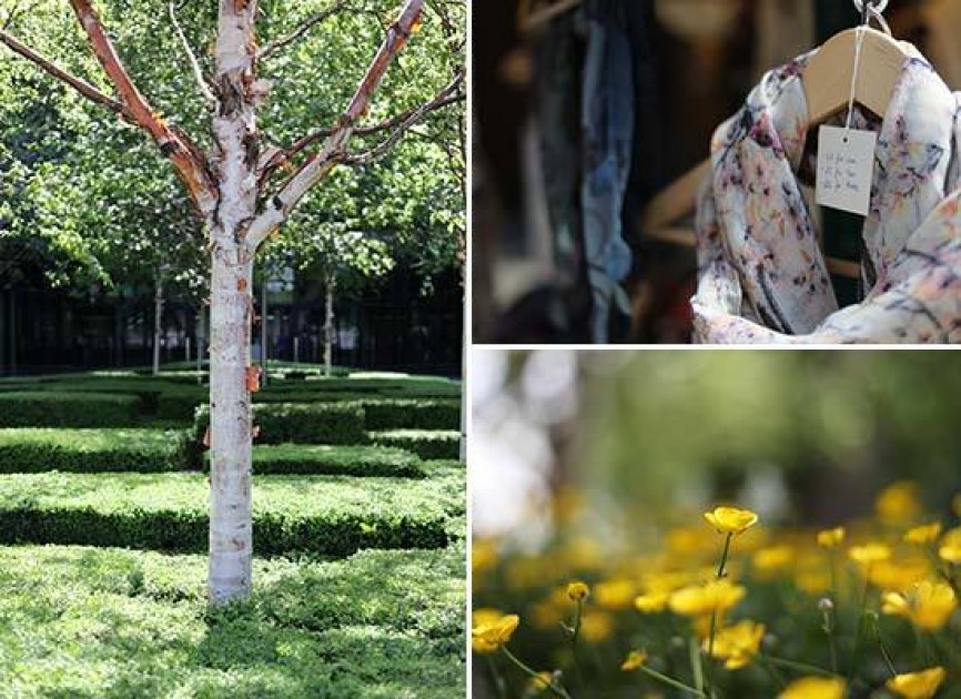 canon ef 50mm f 1 8 stm sample images