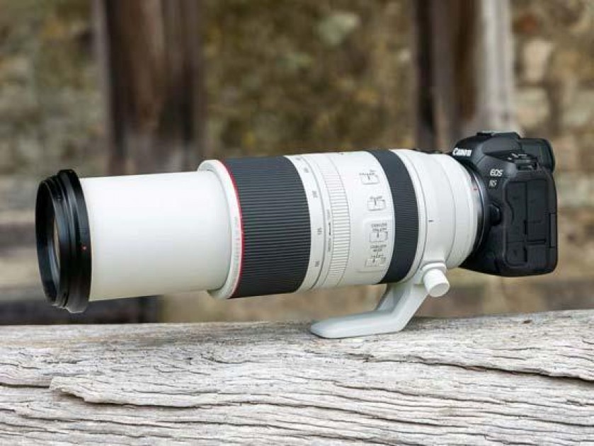 Canon RF 100-500mm F4.5-7.1L IS USM First Impressions 