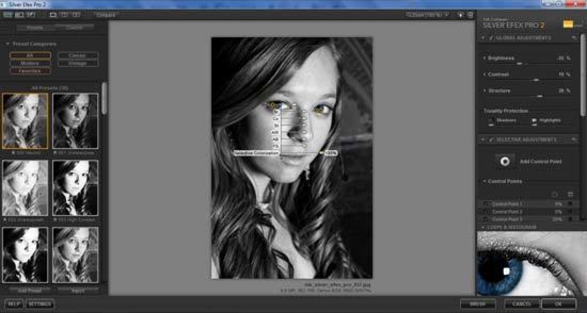 free silver efex pro presets free silver efex pro presets