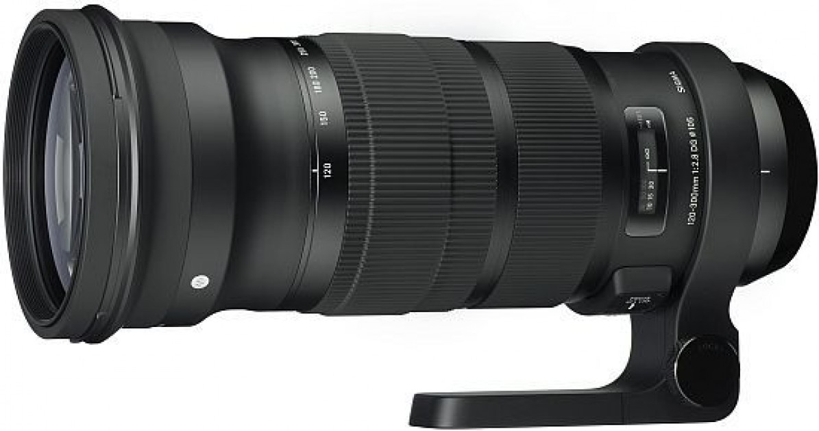 Sigma 120-300mm F2.8 DG OS HSM S Review | Photography Blog