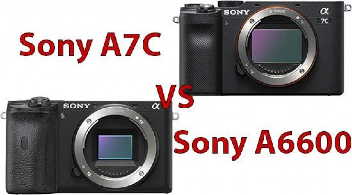 sony alpha a6600 full frame