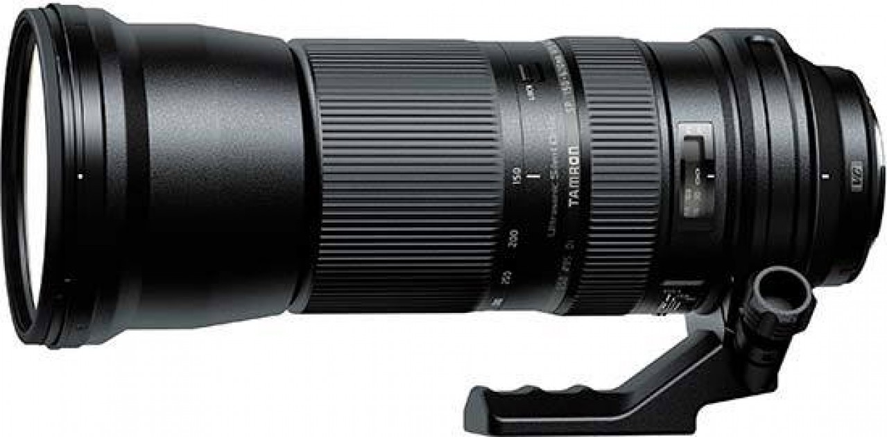 Tamron SP 150-600mm F/5-6.3 Di VC USD Review | Photography Blog