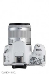 Canon Eos 200d Photography Blog